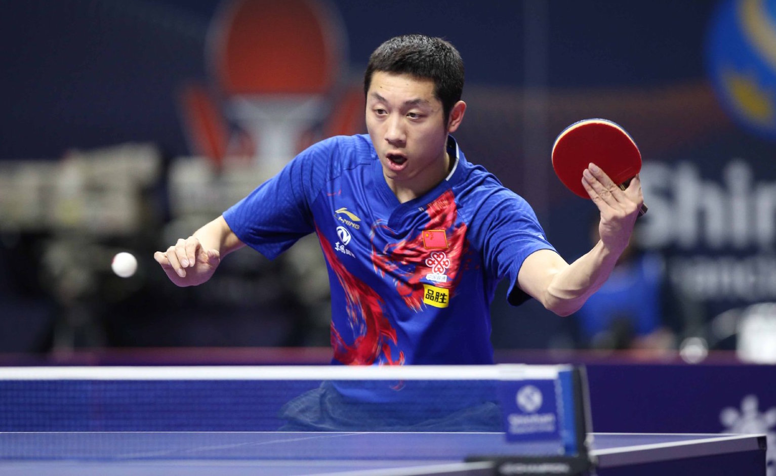 的整体表现 的整体表现