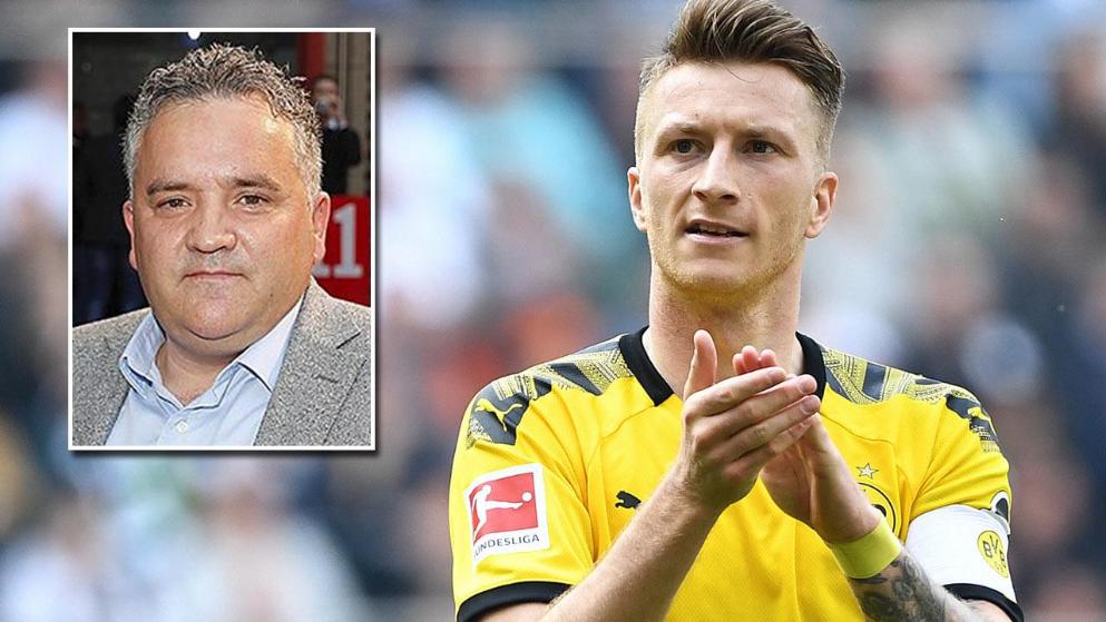 也揭示了尼 也揭示了尼